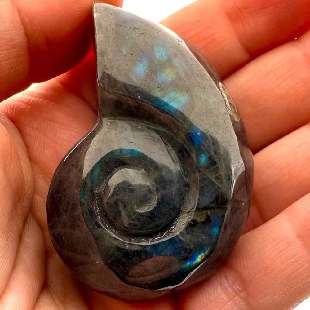 Labradorite Crystal Ammonite Fossil Carving 2.5” (2)